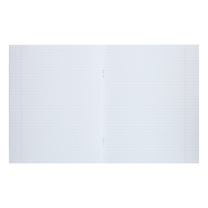 Комплект тетрадей из 10 штук (5 видов по 2 штуки), 48 листов в клетку Calligrata "Смайлики", обложка мелованный картон, блок офсет