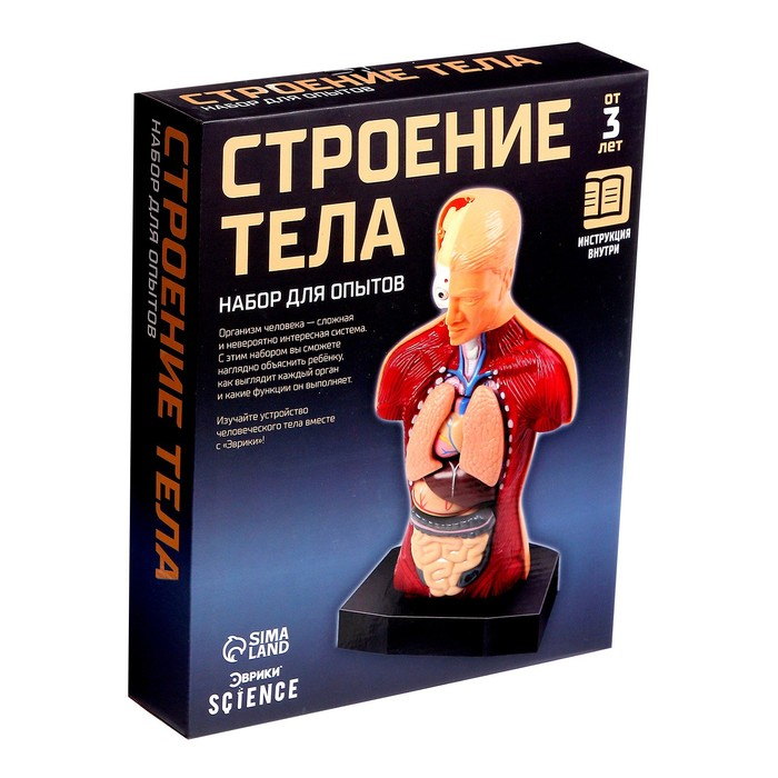 Научный опыт &laquo;Строение тела&raquo;