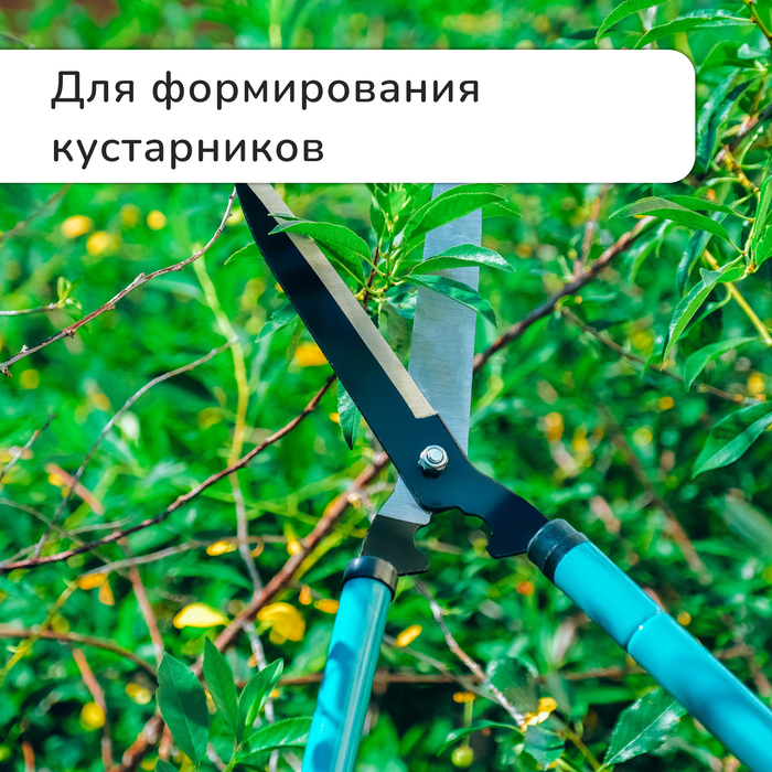 Кусторез, 22&ndash;28.5" (56&ndash;73 см), телескопический, с поролоновыми ручками, с чехлом, цвет МИКС, Greengo