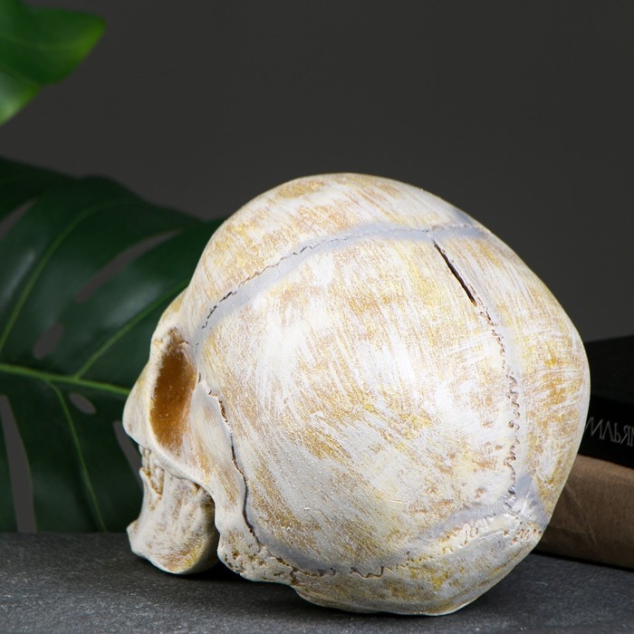 Копилка "Череп" кость, 16х13х22см