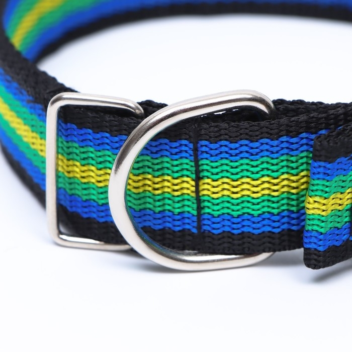 Ошейник четырехслойный, 50 х 3 см, разноцветный