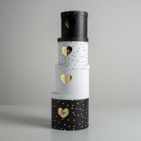 Набор шляпных коробок для цветов 4 в 1, упаковка подарочная, &laquo;Чёрно-белый&raquo;, 14 х 13 см - 20 х 17,5 см