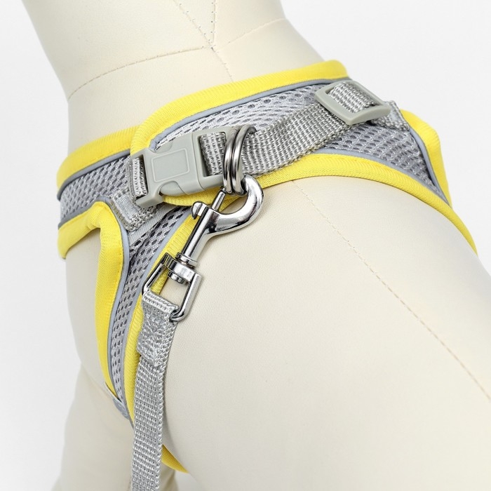 Комплект с мягкой шлейкой, быстросъемный, XS, поводок 150 х 1,5 см, ОШ 29-32 см, ОГ 31-34 см, жёлтый