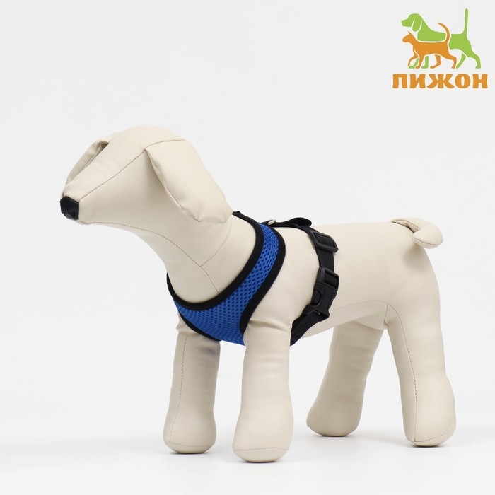 Шлейка мягкая из неопрена, размер M, ОШ 34 см, ОГ 32-42 см, синяя