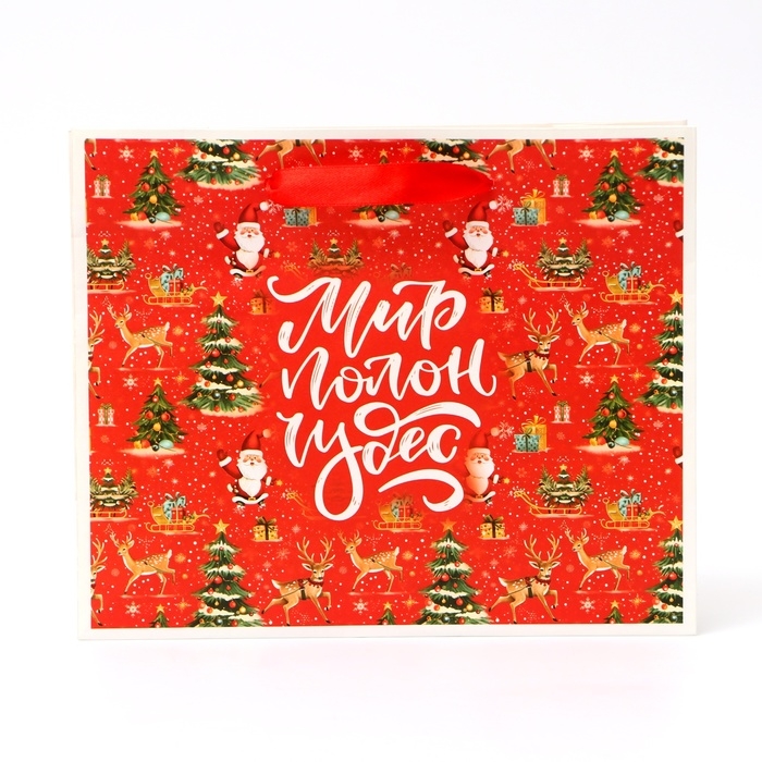 Новый год. Пакет подарочный новогодний бумажный, "Мир полон чудес", 24 х 20 х 11 см.