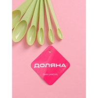 Набор мерных ложек Доляна &laquo;Изящество&raquo;, 6 шт, 13&times;3 см, цвет МИКС