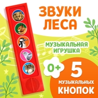 Музыкальная развивающая игрушка &laquo;Звуки леса&raquo;, 5 кнопок