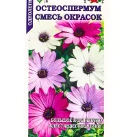 Семена Остеоспермум смесь /Сотка/ 0,1г/ h-40см, d-8см/*1200