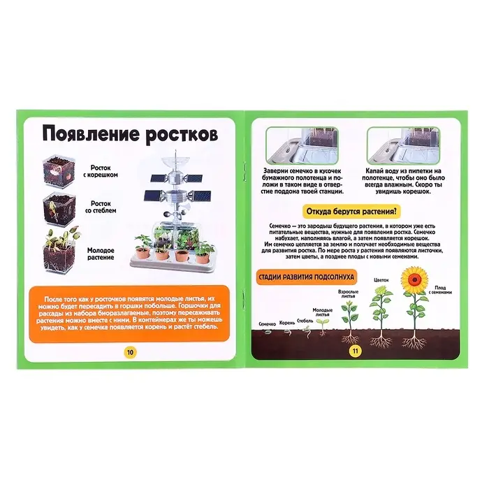 Набор для опытов &laquo;Моя мини-ферма&raquo;, выращивание растений, в космосе