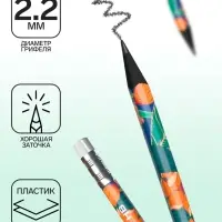 Карандаш чернографитный с ластиком ErichKrause "Flower", HB, грифель d=2.2 мм, пластик, трёхгранный в тубусе, микс