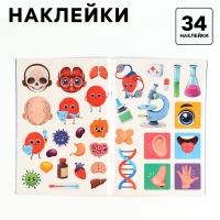 Обучающий набор &laquo;Тело человека&raquo;, рамка-вкладка и книга с наклейками