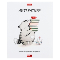 Комплект предметных тетрадей 48 листов, 12 предметов Hatber &laquo;Приключения кота Пирожка&raquo;, обложка мелованная бумага, с интерактивным справочником,...