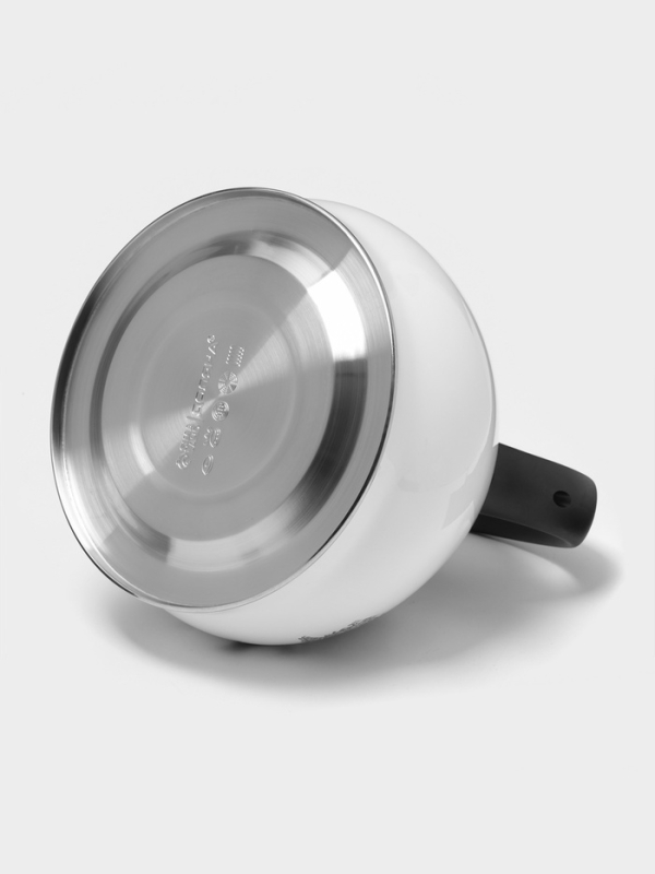 Чайник со свистком из нержавеющей стали Доляна Magic birds, 3 л, с индикатором нагрева, индукция