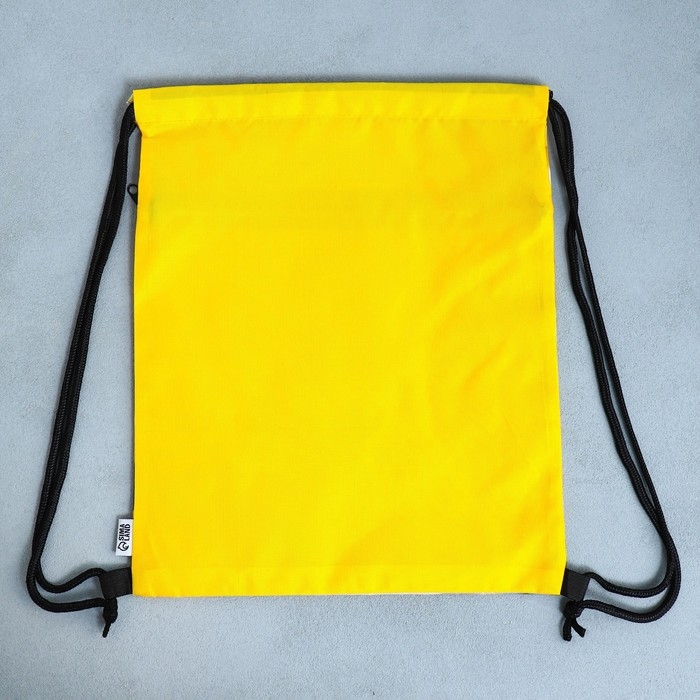 Мешок для обуви &laquo;Забавный корги&raquo; 2 секции, 30&times;40 см