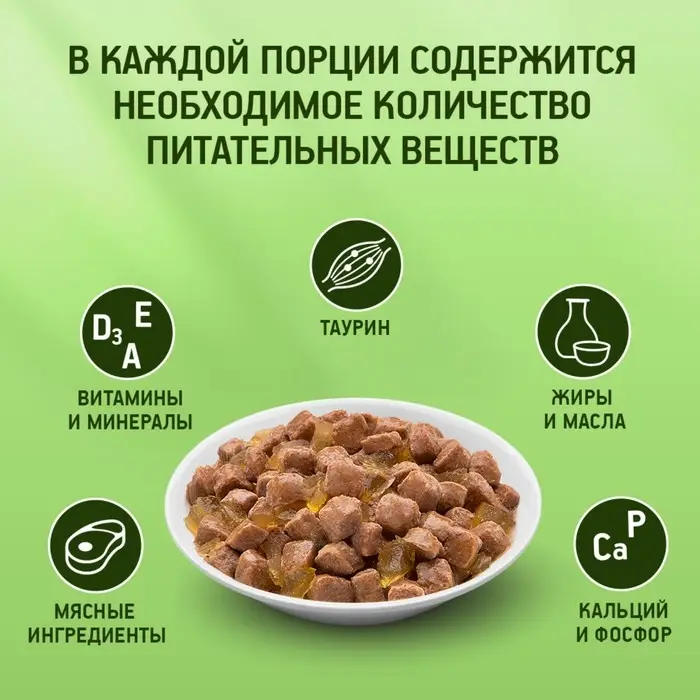 Влажный корм KiteKat для кошек, курица в желе, пауч, 85 г