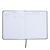 Дневник универсальный для 1-11 класса Anime Comix, интегральная обложка, искусственная кожа, шелкография, ляссе, 80 г/м2