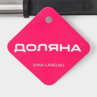 Половник Доляна &laquo;Антрацитовый блеск&raquo;, 31 см