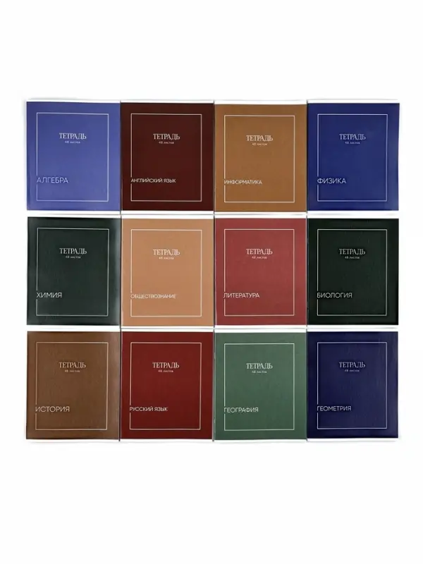 Тетради предметные, 48 л., набор из 12 шт., блок №1 &laquo;Минимализм&raquo;