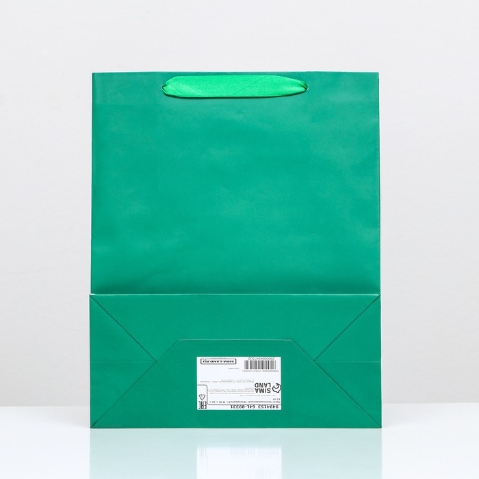Пакет ламинированный &laquo;Зелёный&raquo;, 26 х 32 х 12 см