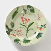 Тарелка фарфоровая &laquo;Фиона&raquo;, d=24 см