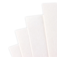 Бумага для акварели А4, 10 листов., 200 г/м2 &laquo;Давид&raquo;