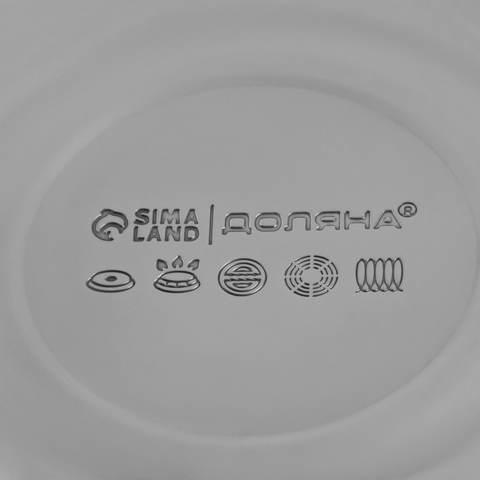 Чайник со свистком из нержавеющей стали Доляна &laquo;Квант&raquo;, 2,8 л, фиксированная ручка, цвет хромированный