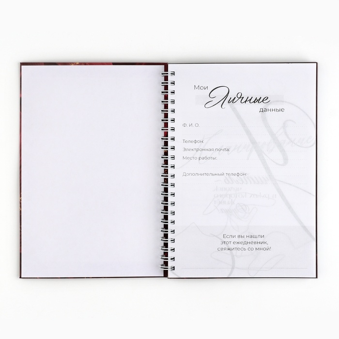 Интерактивный планинг &laquo;Учителю: Планинг учителя&raquo; А5, 60л, на спирали