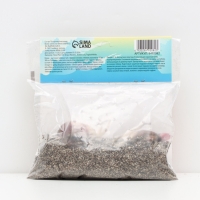 Лилии Трубчатые смотрящие вверх Orange Planet, луковица в пакете с перфорацией, р-р 12/14, 2 шт.