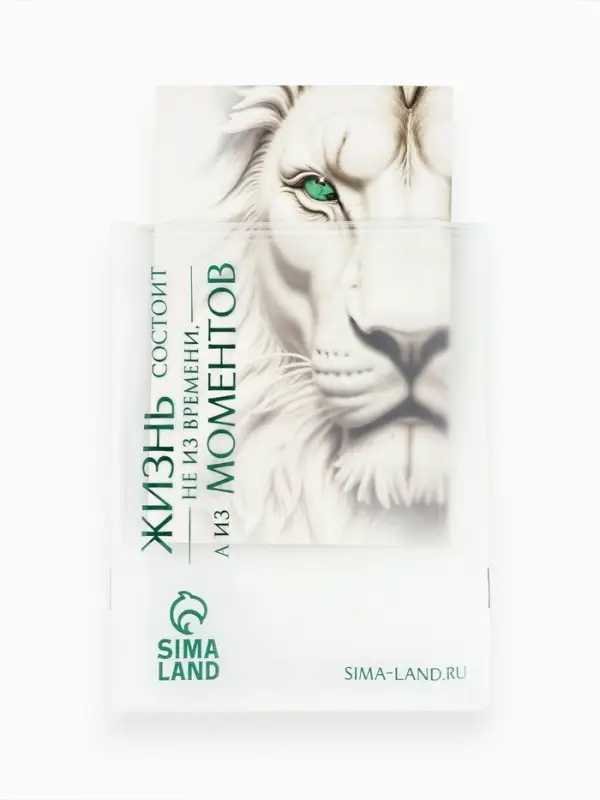 Пакет подарочный &laquo;Новогодний&raquo;, с очками, 31 &times; 11 &times; 40 см