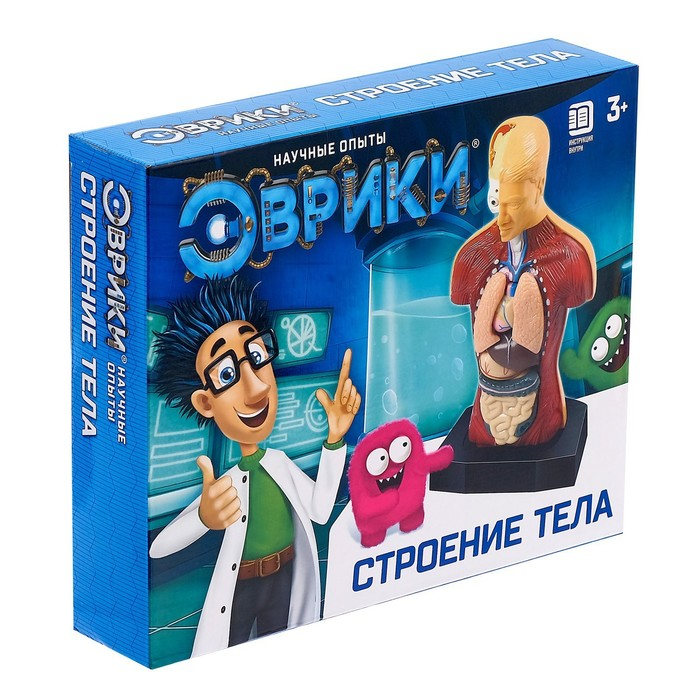 Научный опыт &laquo;Строение тела&raquo;