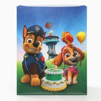 Набор крафтовых пакетов со стикерами, Щенячий патруль, 18х22х12 см