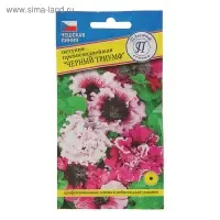 Семена цветов Петуния превосходнейшая "Черный Триумф", О, драже 10 шт