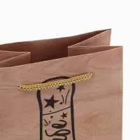 Пакет подарочный под бутылку, упаковка, &laquo;Истина в вине&raquo;, 36 х 13 х 10 см