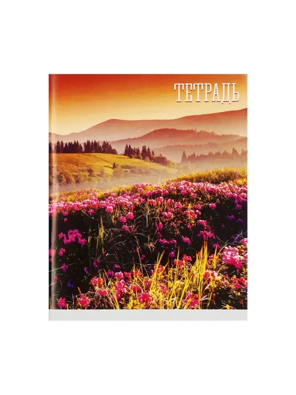 Тетрадь 48 листов в клетку, Calligrata &laquo;Времена года&raquo;, обложка мелованная бумага, серые листы, МИКС