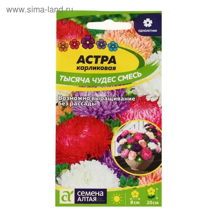 Семена цветов Астра &laquo;Тысяча чудес&raquo;, карликовая, смесь, 0.15 г, &laquo;Семена Алтая&raquo;