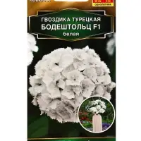 Семена цветов Гвоздика турецкая Бодештольц F1 белая  Золотая серия, Ц/П,7 шт.