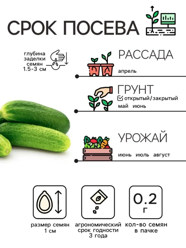 Семена Огурец "Бочковой", 0,2 г