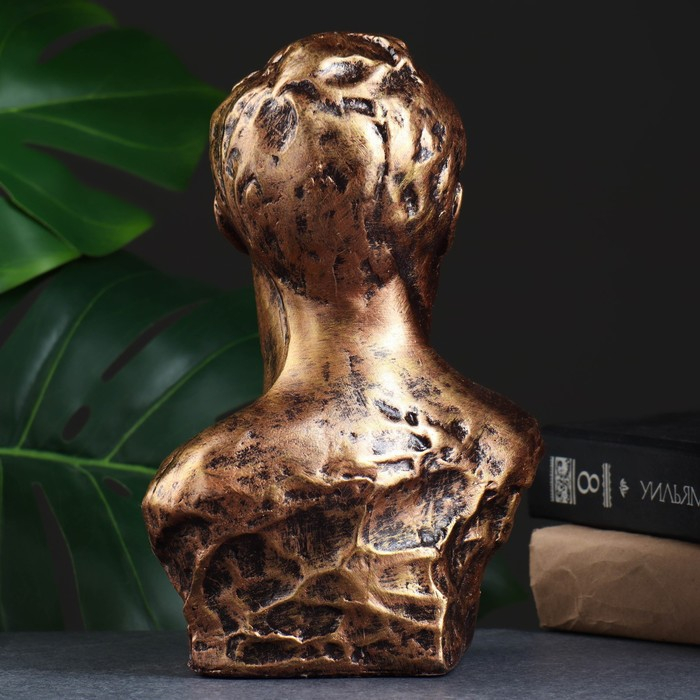 Бюст Дзержинского Ф.Э., бронза 17х24см Бюст Дзержинского Ф.Э., бронза 17х24см