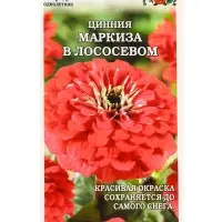 Семена Цинния Маркиза в Лососевом /Сотка/ 0,2 г/ h-80см, d-14см/*1000