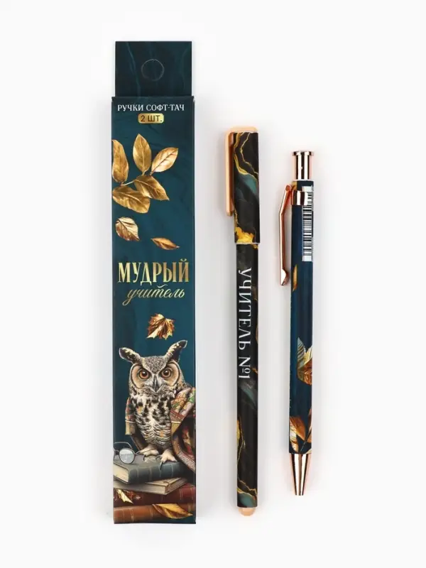 Набор ручек пластик софт-тач "Мудрый учитель", 2 шт, синяя паста 0.7 мм