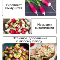 Семена Редис "Французский завтрак", 1,5 г