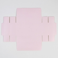 Коробка под 6 конфет, кондитерская упаковка &laquo;Расцветай от счастья&raquo;, 10.2 х 20 х 5 см