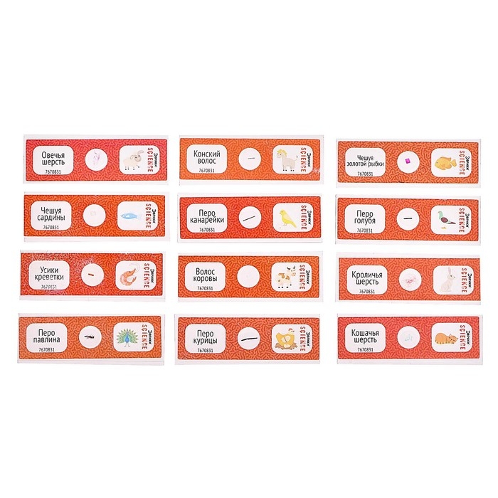 Набор для опытов &laquo;Набор микропрепаратов&raquo;, животные