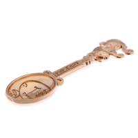 Кошельковый талисман: ложка загребушка &laquo;Денежная&raquo;, 4,6 х 1,2 см.