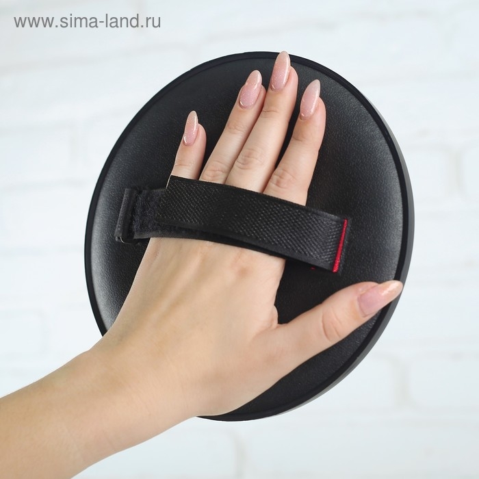 Игра &laquo;Тарелка-липучка&raquo;, набор: 2 тарелки, мяч