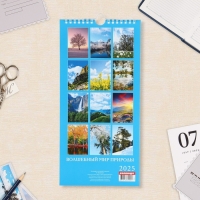 Календарь на ригеле "Волшебный мир природы" 2025 год, 16,5 х 34 см