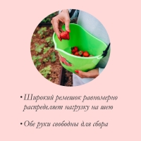 Ёмкость для сбора ягод, 3 л, &laquo;Малина&raquo;