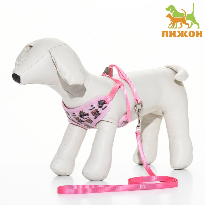 Комплект с мягкой шлейкой "Дэймон", размер S, поводок 120  х 1 см, розовый