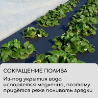 Полоса защитная для междурядий, 20 &times; 0,3 м, плотность 80 г/м&sup2;, спанбонд с УФ-стабилизатором, чёрная, Greengo, Эконом 30%