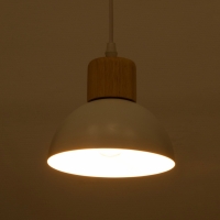 Светильник "Нью-Джерси" 1х40Вт Е27 белый